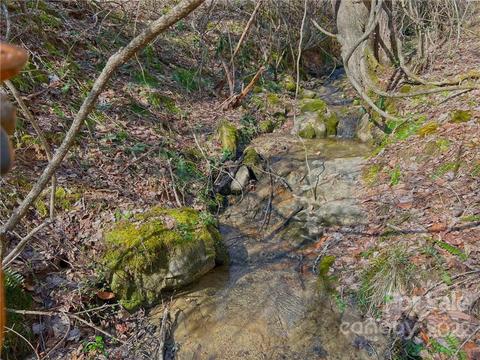 10364 Big Pine Rd, Marshall, NC 28753 photo 5
