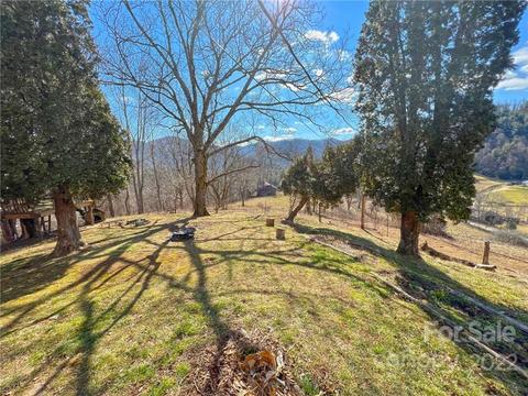 10364 Big Pine Rd, Marshall, NC 28753 photo 3