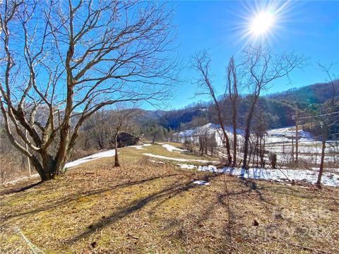 10364 Big Pine Rd, Marshall, NC 28753 photo 4