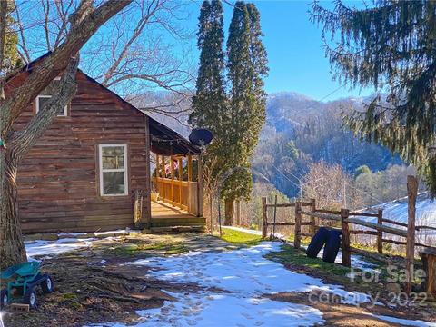 10364 Big Pine Rd, Marshall, NC 28753 photo 1