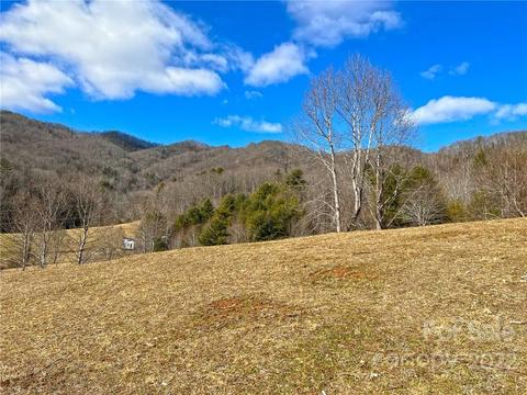 10364 Big Pine Rd, Marshall, NC 28753 photo 7