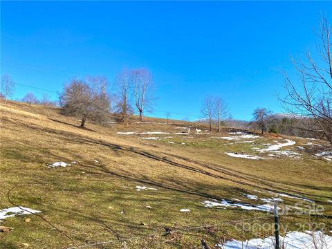 10364 Big Pine Rd, Marshall, NC 28753 photo 10