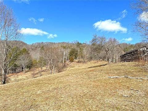 10364 Big Pine Rd, Marshall, NC 28753 photo 45