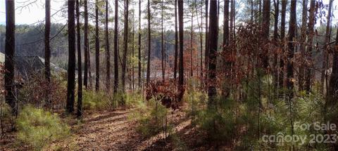 5483 Back Shore 222 Dr #222, Granite Falls, NC 28630