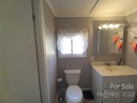 315 Aden Green Rd, Mill Spring, NC 28756 photo 24