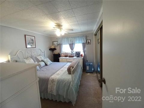 315 Aden Green Rd, Mill Spring, NC 28756 photo 20