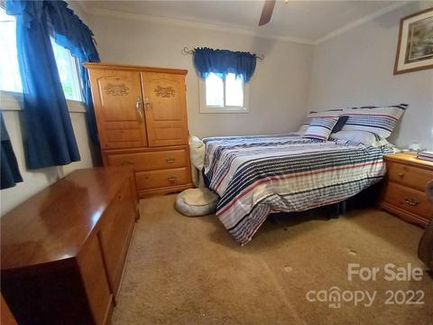 315 Aden Green Rd, Mill Spring, NC 28756 photo 17