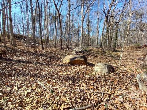 315 Aden Green Rd, Mill Spring, NC 28756 photo 29