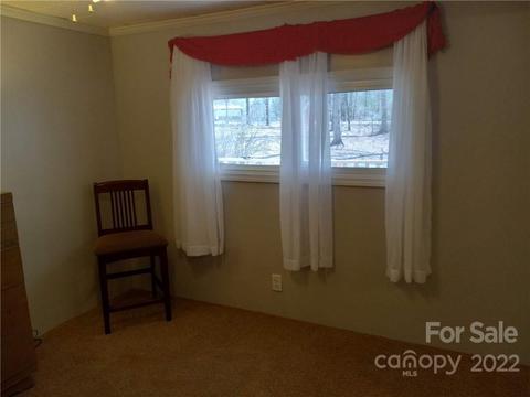 315 Aden Green Rd, Mill Spring, NC 28756 photo 26