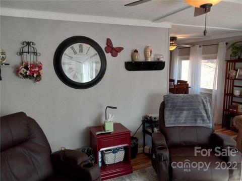 315 Aden Green Rd, Mill Spring, NC 28756 photo 10