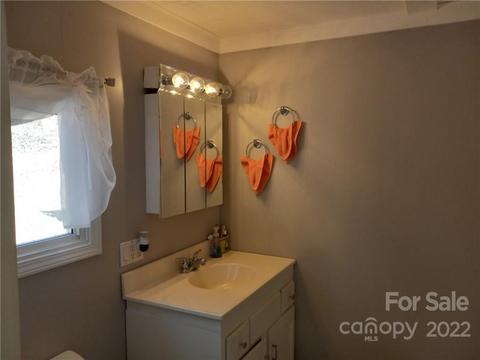 315 Aden Green Rd, Mill Spring, NC 28756 photo 22