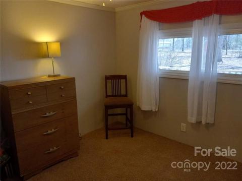 315 Aden Green Rd, Mill Spring, NC 28756 photo 25