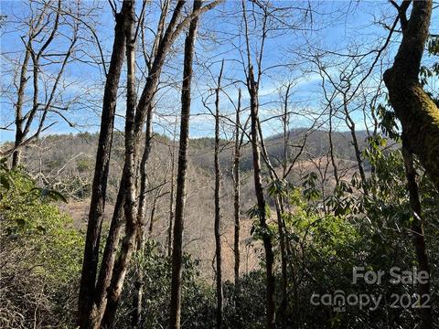 0000 Shoal Creek Rd, Balsam Grove, NC 28708