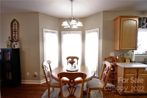 20212 Colony Point Ln, Cornelius, NC 28031 photo 13