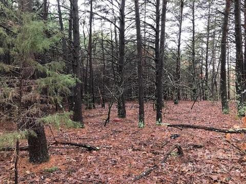 356 Harrison Rd, Bostic, NC 28018 photo 8
