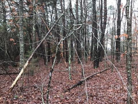 356 Harrison Rd, Bostic, NC 28018 photo 3