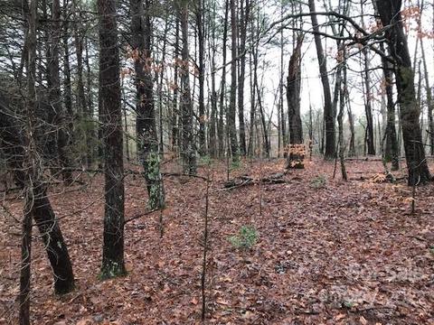 356 Harrison Rd, Bostic, NC 28018 photo 7