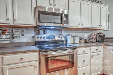 10000 Willow Leaf Ln, Cornelius, NC 28031 photo 10