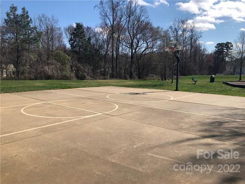 10000 Willow Leaf Ln, Cornelius, NC 28031 photo 39