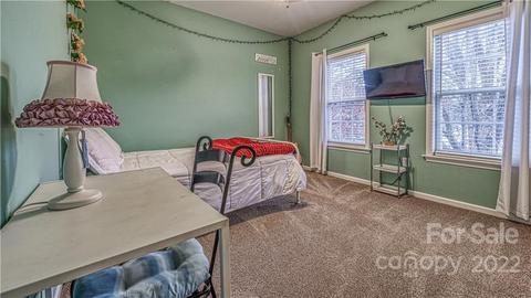 10000 Willow Leaf Ln, Cornelius, NC 28031 photo 31