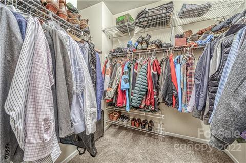 10000 Willow Leaf Ln, Cornelius, NC 28031 photo 28