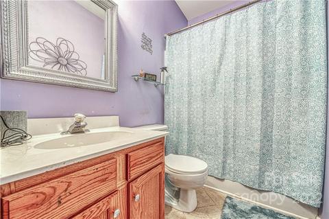 10000 Willow Leaf Ln, Cornelius, NC 28031 photo 33