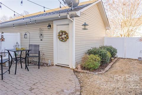 8223 Viewpoint Ln, Cornelius, NC 28031 photo 34
