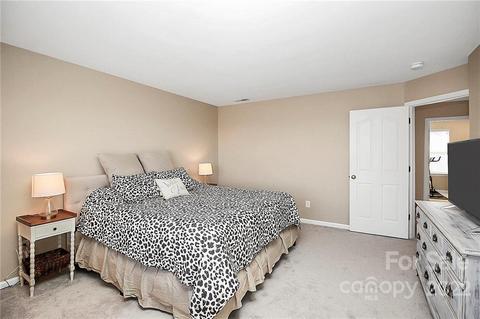 7589 Bluff Point Ln, Denver, NC 28037 photo 23
