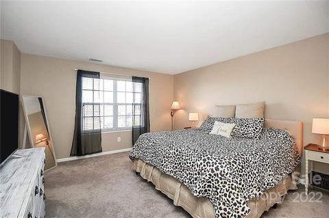 7589 Bluff Point Ln, Denver, NC 28037 photo 22
