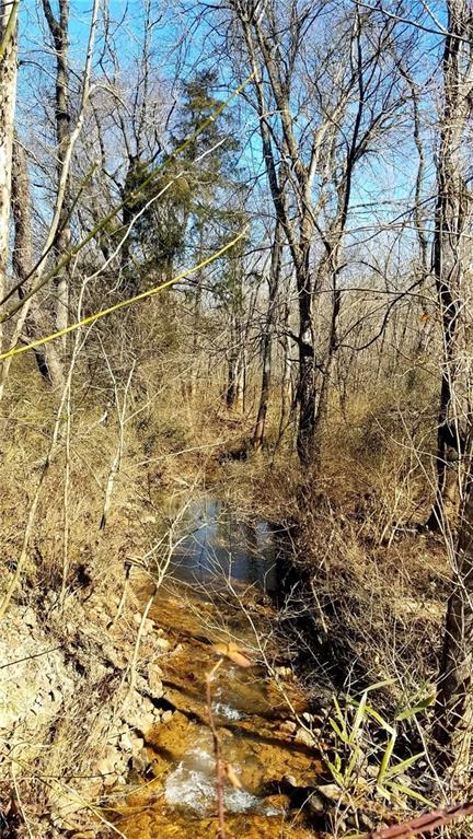 3492 River Rd, Hickory, NC 28602 photo 9