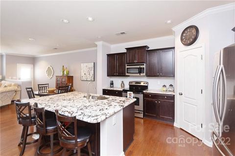 8233 Viewpoint Ln, Cornelius, NC 28031 photo 4