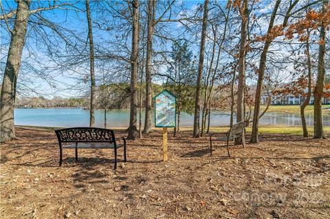 920 Jetton St #47, Davidson, NC 28036 photo 32