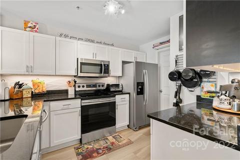 920 Jetton St #47, Davidson, NC 28036 photo 6