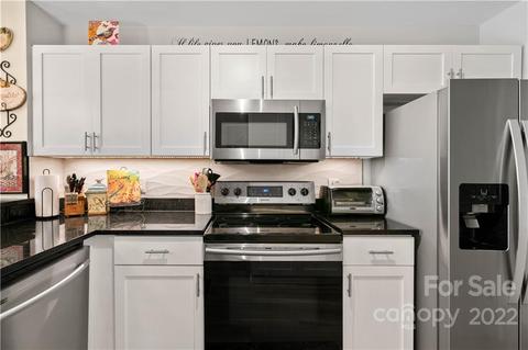 920 Jetton St #47, Davidson, NC 28036 photo 8