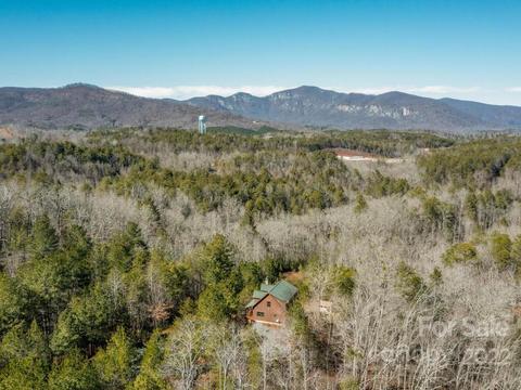 206 Legend Dr, Mill Spring, NC 28756 photo 5
