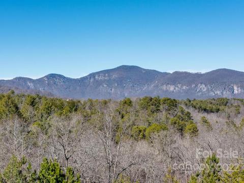 206 Legend Dr, Mill Spring, NC 28756 photo 4