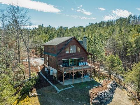 206 Legend Dr, Mill Spring, NC 28756 photo 47