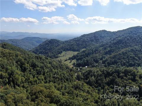 000 Granny Shepherd 5section 9 Rd #5/SECTION 9, Mars Hill, NC 28754