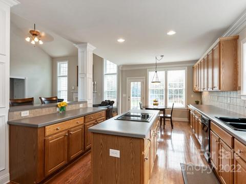 8603 Dansington Ct, Waxhaw, NC 28173 photo 10