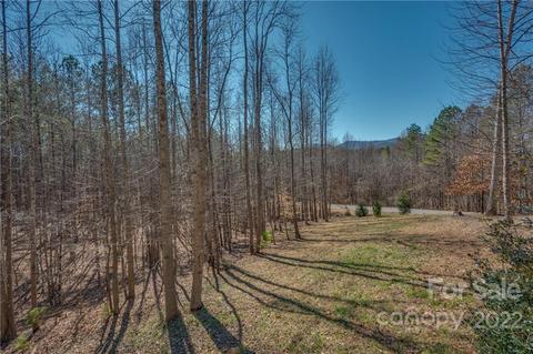 260 Christopher Rd, Tryon, NC 28782 photo 44