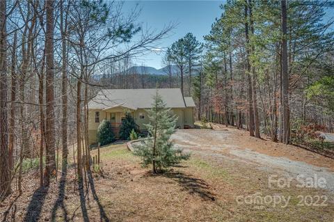 260 Christopher Rd, Tryon, NC 28782 photo 41