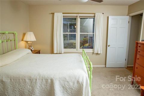 10 Resada Dr, Brevard, NC 28712 photo 19