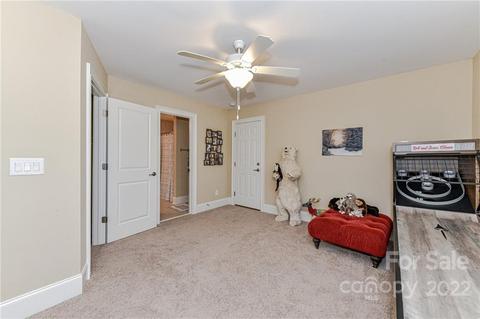 22018 Market St, Cornelius, NC 28031 photo 28