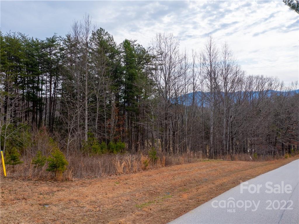67 Chestertown Dr  