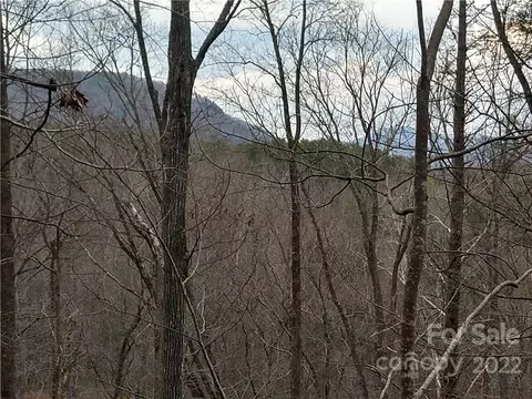 Rock Spring Road, Lake Lure, NC 28746