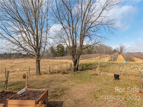 880 Staton Rd, Flat Rock, NC 28731 photo 20