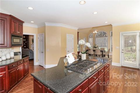 18700 River Crossing Blvd, Davidson, NC 28036 photo 15