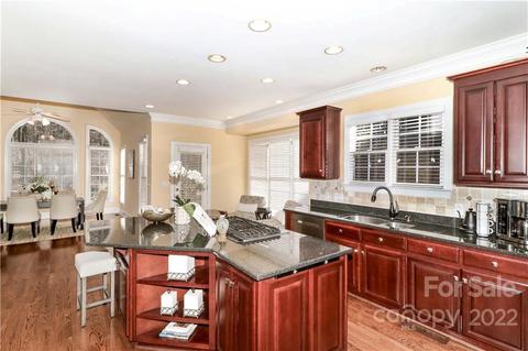 18700 River Crossing Blvd, Davidson, NC 28036 photo 14