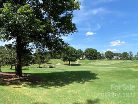 18700 River Crossing Blvd, Davidson, NC 28036 photo 32