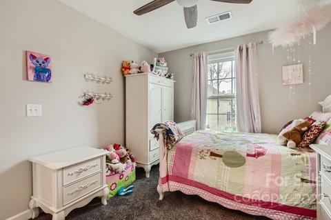 16713 Setter Point Ln, Davidson, NC 28036 photo 43